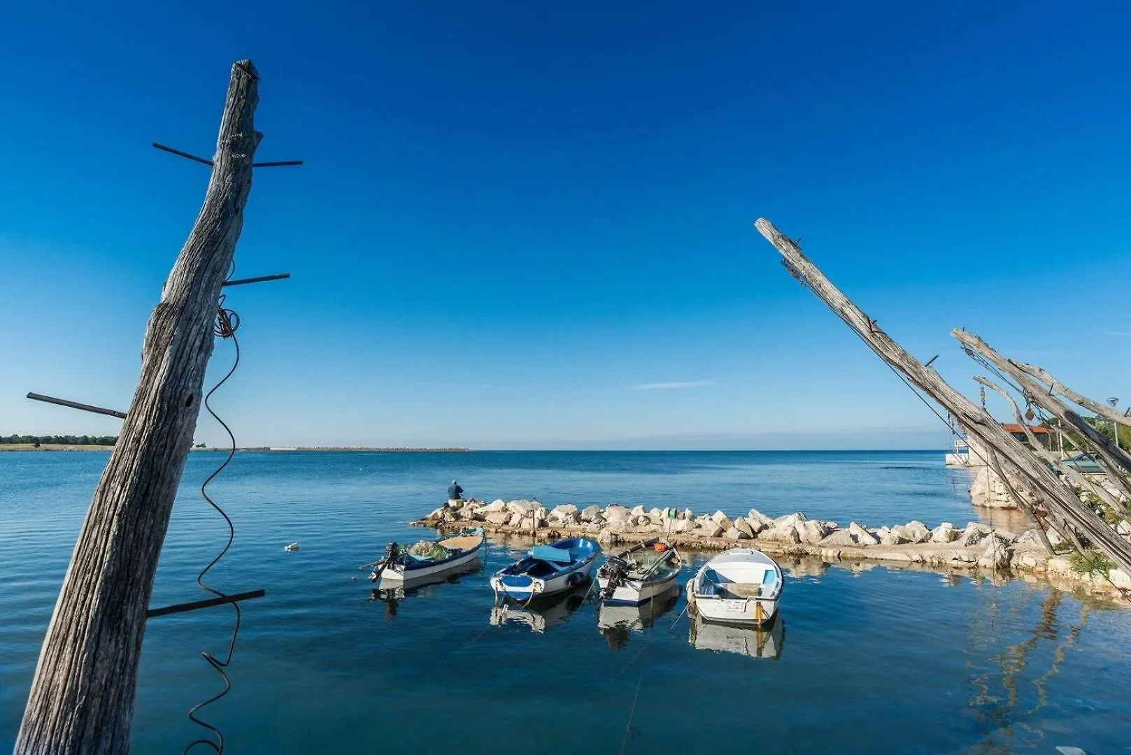 Apartment Domus Lauri Garden Palace II Umag